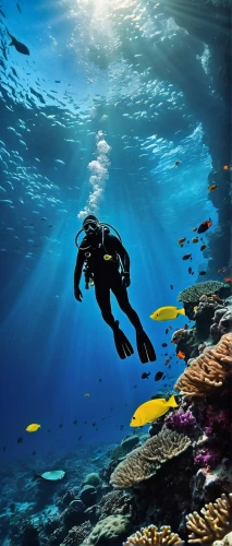 underwater background,underwater landscape,scuba diving,scuba,freediving,freediver,divemaster,ocean underwater,undersea,underwater world,snorkeling,under water,sea life underwater,subaquatic,ocean floor,lembeh,under the water,rebreather,aquanaut,underwater,Illustration,Black and White,Black and White 33