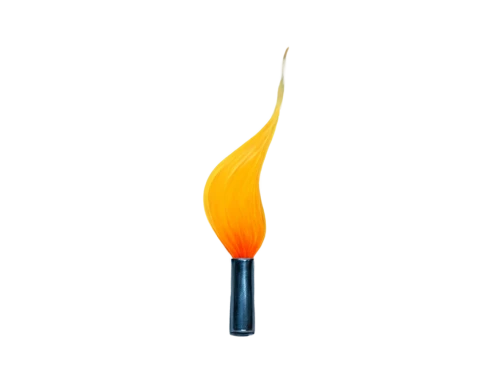 flaming torch,torch tip,burning torch,torch,candle wick,olympic flame,pyromaniac,burning candle,fire background,pyromania,spray candle,torchbearer,flammer,flame of fire,incensing,oriflamme,lighted candle,a candle,harpertorch,torch holder,Illustration,Realistic Fantasy,Realistic Fantasy 24