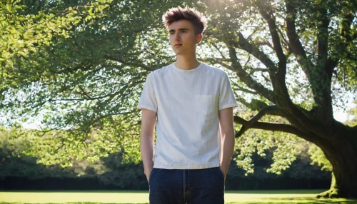 isolated t-shirt,lanky,tall man,standing man,in the park,boy model,teen,euan,aidan,polo shirt,conner,photo session in torn clothes,young model,ciaran,callum,boy,stilted,walk in a park,bastiaan,eelco,Illustration,Retro,Retro 05