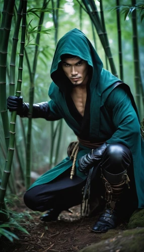 zoro,robinhood,seregil,raistlin,arrow,ragman,forest man,yi,quinlan,cosplay image,jace,vax figure,hidehiko,yasuo,shen,raziel,niten,assassin,kellan,awesome arrow,Illustration,Realistic Fantasy,Realistic Fantasy 10