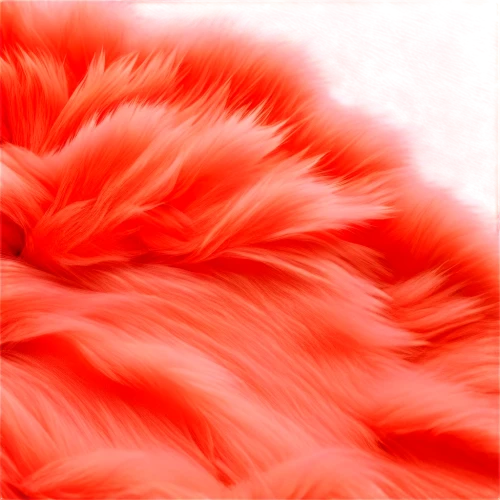coral swirl,fur,ostrich feather,furring,lava flow,animal fur,the fur red,gradient mesh,fabric texture,generated,volumetric,soft coral,feather boa,lava,furr,mohair,fringing,chiffon,coral,fabric,Illustration,Paper based,Paper Based 22