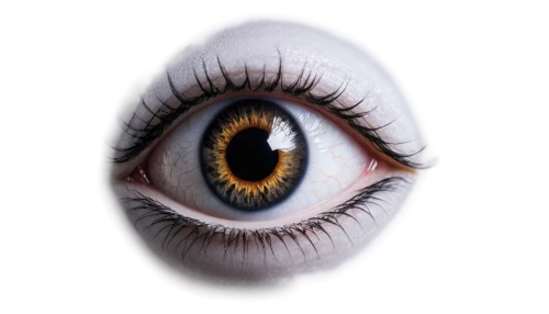 eye,eyeball,sclera,eye ball,yellow eye,pupil,eyeshot,oeil,abstract eye,women's eyes,eye scan,ojos,eyed,ocular,eeye,infraorbital,esotropia,pupillary,augen,seye,Conceptual Art,Oil color,Oil Color 06