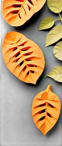 lotus leaves,lotus leaf,mandarin leaves,beech leaves,water lily leaf,magnolia leaf,jungle drum leaves,bicolor leaves,skeleton leaves,tropical leaf pattern,lotus png,ginkgo leaf,sliced tangerine fruits,watercolor leaves,leaf pattern,autumn leaf paper,leaf icons,nasturtium leaves,beech leaf,dried leaves,Unique,Paper Cuts,Paper Cuts 03