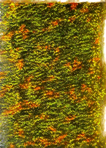 basket fibers,knitted christmas background,moquette,textile,autumn pattern,fibers,embroils,fabric texture,dishcloth,carpet,handwoven,fall leaf border,weavings,puccinia,felted and stitched,kimono fabric,microtubules,veil yellow green,microalgae,jacquard,Conceptual Art,Daily,Daily 22