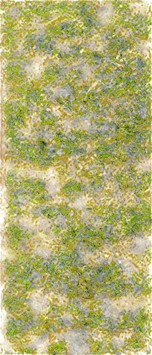 duckweed,pondweed,watermilfoil,hydrilla,wavelet,milfoil,saltmarsh,aquatic herb,swampy landscape,wavelets,water spinach,water surface,seamless texture,cordgrass,seagrass,cyanobacteria,floodplains,golf course grass,topographer,block of grass,Illustration,Abstract Fantasy,Abstract Fantasy 02