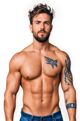 derivable,kushti,clenbuterol,trenbolone,body building,bara,bufferin,muscleman,wightman,artemus,pec,physiques,stanozolol,transadelaide,osmin,hypermasculine,dextrin,pelado,bodybuilder,jonassaint,Conceptual Art,Daily,Daily 24