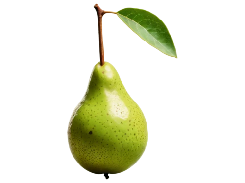 pear cognition,pear,pears,aaaa,mandora,resprout,peapod,rock pear,green kiwi,peary,avolar,avowing,seedpod,guava,feijoa,rhamnaceae,petiole,natura,onagraceae,green apple,Conceptual Art,Fantasy,Fantasy 28
