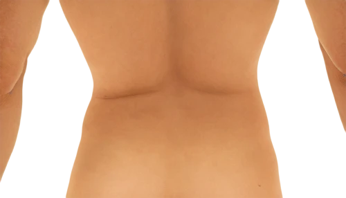 gynecomastia,trapezius,latissimus,pectoralis,areoles,mastectomy,torso,female body,inguinal,torsos,serratus,diaphragmatic,sternum,body scape,pectoris,bodyscape,body part,upperparts,liposuction,sternocleidomastoid,Illustration,Black and White,Black and White 26