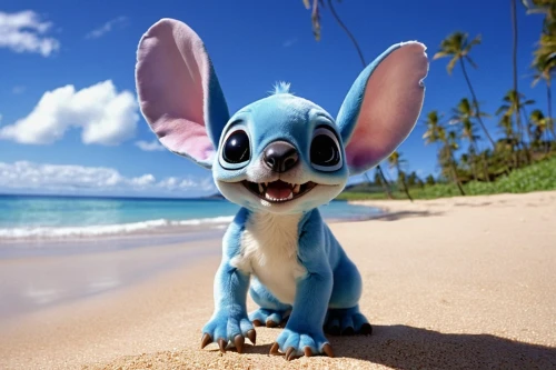 stitch,stich,filbert,madagascan,pangool,bluey,bluesier,ohana,kontopirakis,ears,bilby,big ears,bluie,squeakquel,bahama,lilo,madagascans,bahaman,kialoa,sheinwold,Photography,Documentary Photography,Documentary Photography 31