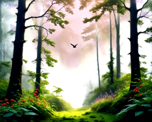 forest background,forest landscape,fairy forest,forest,nature background,forests,forest of dreams,the forest,elven forest,forest glade,forest path,cartoon video game background,world digital painting,the forests,holy forest,digital painting,forestland,cartoon forest,tropical forest,woodland,Illustration,Black and White,Black and White 06