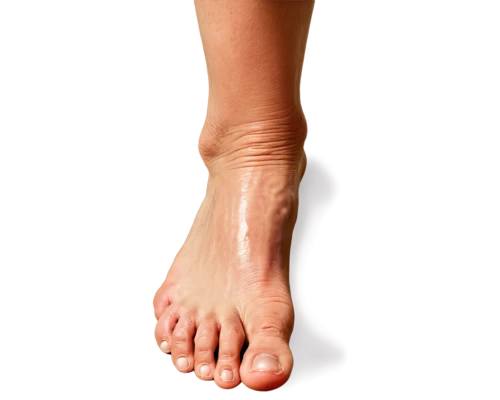 foot model,lymphedema,dorsiflexion,foot reflex zones,foot reflex,foot reflexology,tibialis,supination,hindfeet,orthotics,venules,reflex foot sigmoid,foot,hindfoot,orthotic,polyneuropathy,valgus,the foot,sclerotherapy,pronation,Art,Artistic Painting,Artistic Painting 01