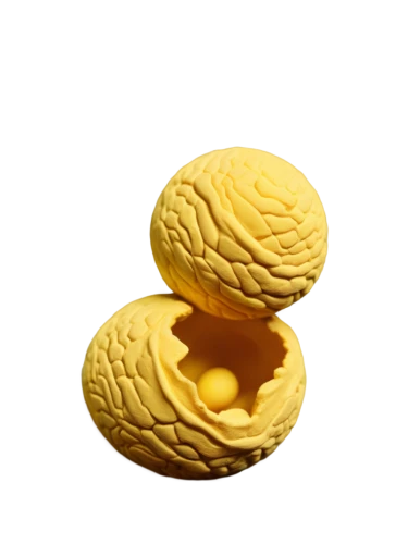 brain icon,golgi,golden egg,ferrero rocher,pralines,brains,walnuts,acetylcholine,golden apple,laddu,cerebellar,isolated product image,thalamocortical,profiteroles,lemon background,brain,golcuk,religieuses,neocortex,succinylcholine,Unique,3D,Clay