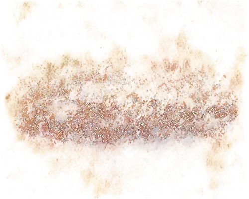 feather coral,soft coral,sargassum,helichrysum,sea buckthorn,rowanberry,orange petals,banksia,finch in liquid amber,orange tree,burning bush,desert coral,meadow coral,seed head,coral bush,autumn chrysanthemum,banksias,pyracantha,rock coral,autumn tree,Conceptual Art,Oil color,Oil Color 11