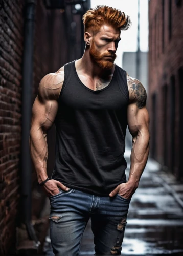 sheamus,wightman,edge muscle,ginger rodgers,gingrichian,redbeard,muscular,arnolt,gingerich,brock,endeavor,ginglen,mcshane,austin stirling,gingold,redfield,muscle icon,ruggedly,shatterstar,stacee,Illustration,Black and White,Black and White 35