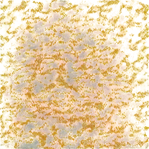 monolayer,marpat,cytokeratin,epidermidis,biofilm,amphibole,bilayer,enterococci,degenerative,lava,petromatrix,terrazzo,biofilms,epidermis,meditrust,golgi,seamless texture,epidermal,sebatik,carpet,Conceptual Art,Daily,Daily 18