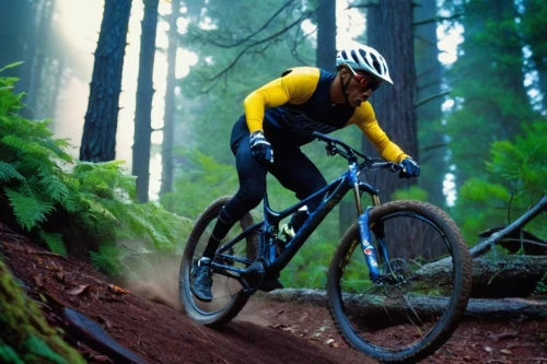 fromme,singletrack,mountainbike,mountain biking,mountain bike,downieville,mtb,cross country cycling,cyclocross,schurter,loamy,steerer,chicksands,washougal,squamish,downhill,solotrek,downhills,enduro,descenders,Conceptual Art,Sci-Fi,Sci-Fi 23