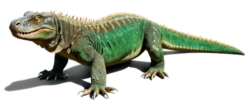 gryposaurus,dicynodon,phytosaurs,ceratosaurus,synapsid,futalognkosaurus,gorgosaurus,allosaurus,pelorosaurus,albertosaurus,tarbosaurus,dilophosaurus,titanosaurian,dicynodont,cynodont,coelurosaurian,aetosaurs,iguanodon,therizinosaurs,sinornithosaurus,Illustration,Realistic Fantasy,Realistic Fantasy 38