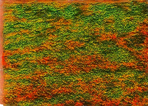 flower carpet,groundcovers,groundcover,fall leaf border,carpet,puccinia,autumn pattern,orange petals,orange flowers,orange floral paper,garden marigold,arborvitae,ground cover,orange red flowers,the garden marigold,carrot pattern,autumn leaf paper,hedge,calendula,calendula petals,Conceptual Art,Daily,Daily 27