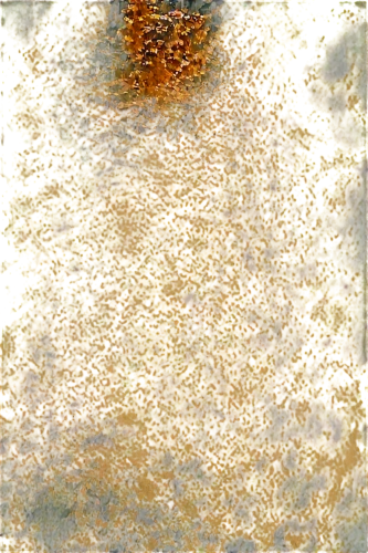 bear footprint,checkerspot,footprint,dark green fritillary,butterfly swimming,xanthomonas,streambed,brocade carp,finch in liquid amber,reflection of the surface of the water,comma,orange butterfly,puddle,xanthophylls,mottled,pintada,pond frog,pavement,butterfly pattern,duckweed,Illustration,Abstract Fantasy,Abstract Fantasy 22