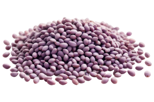 microspheres,liposome,origanum,anthocyanin,microcapsules,permanganate,amaranth,liposomes,emulsifiers,degranulation,anthocyanins,granulation,purpurascens,semipermeable,legumes,isolated product image,microkernels,spherules,desmodium,flavoprotein,Photography,Black and white photography,Black and White Photography 03