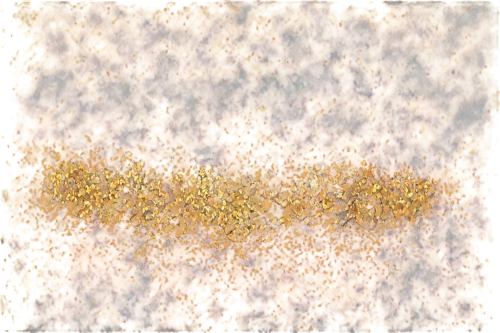 puccinia,mustard seeds,mold cheese,pollen,pollens,spherules,pollen warehousing,xanthomonas,lentils,golgi,monolayer,brown mold,earthgrains,rice seeds,cercospora,biofilms,terrazzo,muglia,yeasts,grains,Illustration,Realistic Fantasy,Realistic Fantasy 16