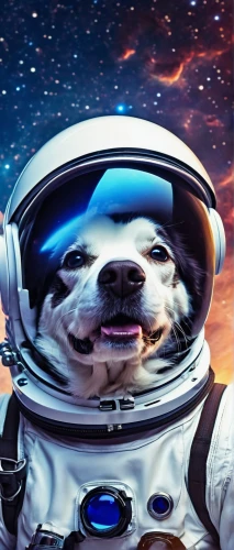 astronautical,spacefill,astronautic,astronaut,spaceward,barkman,astro,spacelike,astropeiler,spaceflights,taikonaut,edgar,sparapet,iss,space walk,spaceborne,doggart,space,spacek,cosmonaut,Photography,Documentary Photography,Documentary Photography 32