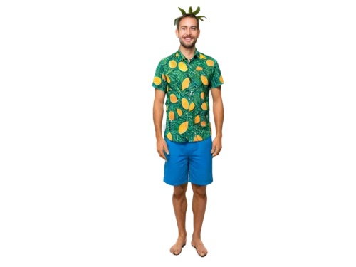 tropicalismo,surfwear,summer items,luau,jortzig,muumuu,hawaiiensis,mcartor,haulover,greenscreen,pantropical,jorkens,transparent image,barotropic,kahuna,summer pattern,marimekko,man's fashion,png transparent,aa,Illustration,Paper based,Paper Based 26