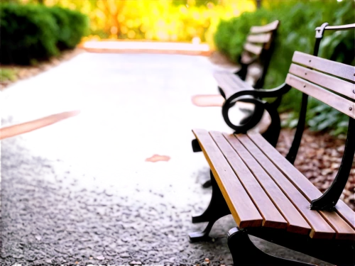 park bench,bench,wooden bench,benches,red bench,garden bench,man on a bench,background bokeh,bench chair,stone bench,wood bench,yellow rose on red bench,bokeh effect,bench by the sea,school benches,benched,sit and wait,picnic table,depth of field,bus stop,Conceptual Art,Daily,Daily 34