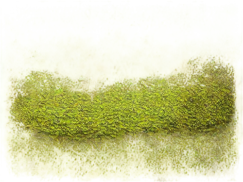moss landscape,block of grass,forest moss,sphagnum,swampy landscape,grass grasses,grasslike,long grass,grassland,tree moss,gras,duckweed,saltmarsh,green landscape,cordgrass,high grass,grass,seagrass,grasses in the wind,background abstract,Conceptual Art,Sci-Fi,Sci-Fi 20