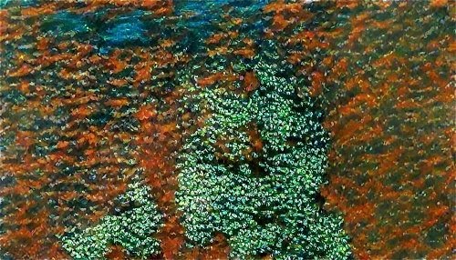 shagreen,azolla,chameleon abstract,green mermaid scale,greenschist,olivine,trumpet lichen,lichens,lichen,sporophyte,bryophyte,eclogite,pounamu,trichophyton,duckweed,carborundum,forest moss,selaginella,dacrydium,pointillism,Conceptual Art,Oil color,Oil Color 15