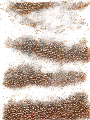 xanthomonas,brown mold,honeycomb structure,varroa,burger pattern,cytokeratin,barbari,puccinia,mold cheese,propolis,trypophobia,pollens,bryozoans,lamellar mushrooms,zaatar,anthracnose,epidermis,teliospores,phellinus,seamless texture,Photography,Black and white photography,Black and White Photography 07