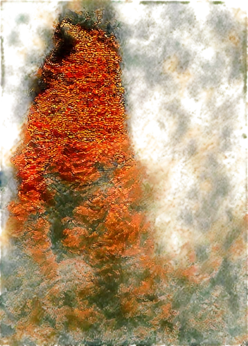 arborvitae,tree texture,burning tree trunk,red tree,lichen,color texture,lichens,autumn frame,sequoiadendron,coniferous,lava,palimpsest,burnt tree,burning bush,tree trunk,volcanic,orange color,pigment,landscape red,brown tree,Conceptual Art,Fantasy,Fantasy 06