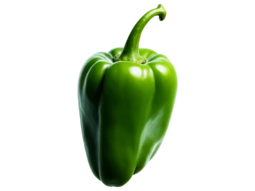 green bell pepper,green pepper,green bell peppers,bellpepper,serrano peppers,bell pepper,green paprika,jalapeno,bell peppers,red bell pepper,capsicum annuum,pepper plant,capsicum,chile pepper,green tomatoe,patrol,poblanos,poblano,red bell peppers,jalapenos,Illustration,Retro,Retro 03