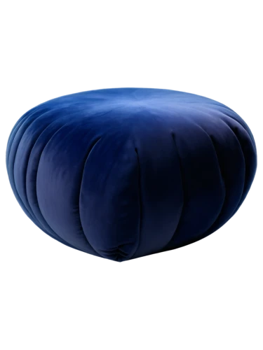 mitochondrion,mitochondrial,blue pillow,otolith,ellipsoid,mitochondria,beanbag,velella,ostracod,ellipsoids,platyhelminthes,beanbags,eukaryote,ectoparasite,gel capsule,polypill,cocoons,deuterostomes,cocoon,bosu,Conceptual Art,Daily,Daily 33