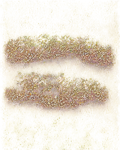 platyhelminthes,photomultipliers,rusty chain,microtubules,trumpet lichen,microtubule,spirochetes,anaerobes,conformations,golgi,stereogram,chromosomal,thylakoids,stereograms,polyptychus,bilayer,chromosomally,tritici,iron chain,cytogenetic,Illustration,Paper based,Paper Based 26