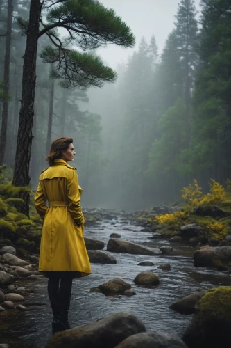 walking in the rain,raincoat,rainwear,stutterheim,raincoats,girl on the river,girl walking away,woman walking,crewdson,streamside,raincoast,in the rain,rainswept,xanthophylls,forestland,wuthering,morskie oko,wandering,pine forest,wildernesses,Photography,General,Realistic