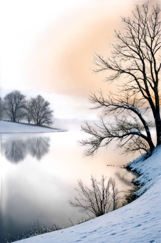 winter landscape,snow landscape,winter lake,ice landscape,snowy landscape,wintry,winter tree,winter background,frozen lake,winter dream,winter magic,tarn,foresees,reeds wintry,winterland,vinter,wharfe,river wharfe,winter morning,overwinter,Illustration,Paper based,Paper Based 15