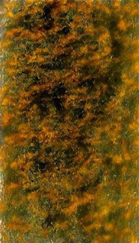 watercolour texture,granite texture,palimpsest,wavelet,striae,water surface,brakhage,palimpsests,road surface,sediments,wavelets,seafloor,watermilfoil,abstract gold embossed,pavement,sedimentation,color texture,outfall,sediment,tree texture,Illustration,Realistic Fantasy,Realistic Fantasy 27