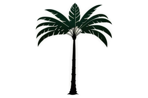 palm tree vector,norfolk island pine,tropical leaf,growth icon,betel palm,palmtree,wine palm,dracena,fan palm,cycad,gymnosperm,alpinia,potted palm,coconut palm tree,palm tree,tropical leaf pattern,washingtonia,palm leaf,zamia,pokok,Unique,Paper Cuts,Paper Cuts 05