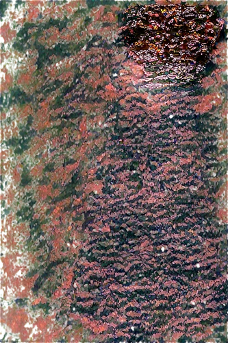 wavelet,sediment,watercolour texture,rivulets,sediments,generated,palimpsest,sedimentation,red earth,dithered,wavelets,seafloor,efflorescence,red sand,palimpsests,carpet,textured,sackcloth textured,color texture,epidermis,Illustration,Retro,Retro 06