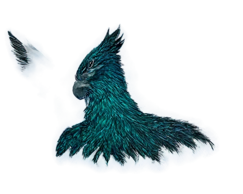 gryphon,eagle illustration,sea head eagle,aquila,eagle,gryfino,uniphoenix,mongolian eagle,eagle drawing,microraptor,derivable,eagle vector,featherlike,garuda,phoenixes,clariden,african fishing eagle,blue buzzard,patronus,nicobar pigeon,Illustration,American Style,American Style 07