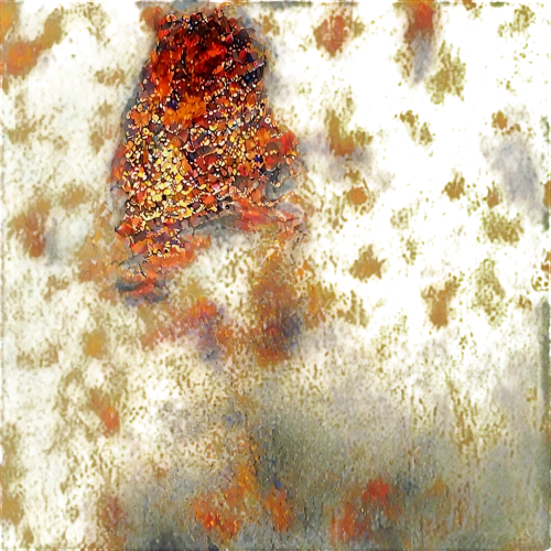 polygonia,acleris,melitaea,checkerspot,orange butterfly,red butterfly,fritillary butterfly,butterfly isolated,euphydryas,comma,the imperial fritillary,fritillary,butterfly moth,charaxes,butterfly background,monarch butterfly,dark green fritillary,antheraea,lepidoptera,isolated butterfly,Art,Classical Oil Painting,Classical Oil Painting 10