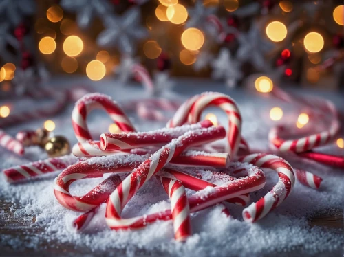 knitted christmas background,christmas snowy background,candy canes,christmasbackground,christmas background,christmas wallpaper,christmas ribbon,christmas garland,christmas motif,christmas border,festive decorations,candy cane bunting,christmas sweets,candy cane,christmas snowflake banner,garland of lights,snowflake background,dulci,yuletide,christmas candy,Photography,Documentary Photography,Documentary Photography 22