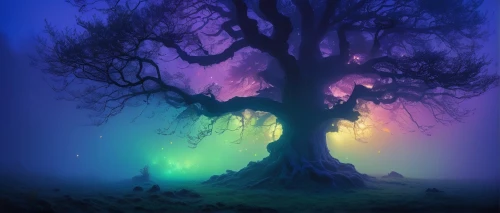 magic tree,colorful tree of life,celtic tree,isolated tree,foggy forest,fairy forest,creepy tree,arbre,forest tree,enchanted forest,veil fog,tree of life,foggy landscape,druidic,fairytale forest,elven forest,fantasy picture,haunted forest,ghost forest,fantasy landscape,Conceptual Art,Sci-Fi,Sci-Fi 22