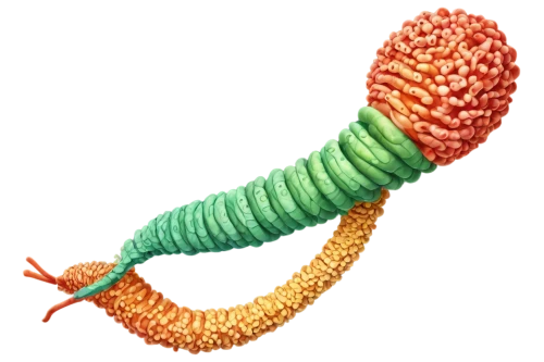 flagella,betaproteobacteria,pylori,flagellum,microtubule,bacteriorhodopsin,transmembrane,sphyrna,eukaryote,gpcr,flagellar,microtubules,polychaete,bilayer,proteobacteria,centromere,lipoprotein,micropholis,phertzberg,apolipoprotein,Art,Artistic Painting,Artistic Painting 25