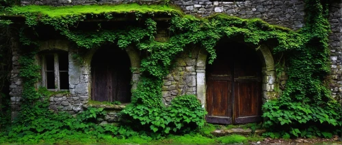 garden door,ivy frame,witch's house,doorways,fairy door,forest chapel,old windows,kykuit,old window,witch house,row of windows,ivy,abandoned place,doorway,green garden,springhouse,verdant,grotto,abandoned building,loggia,Conceptual Art,Oil color,Oil Color 19