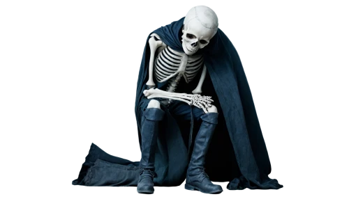 skeletal,human skeleton,skeleton,skeleltt,vintage skeleton,lich,skelemani,skelly,grim reaper,vanitas,skelton,skelid,sans,calcium,skeletal structure,skelley,boneparth,spookily,osteological,lazaretto,Photography,Artistic Photography,Artistic Photography 11