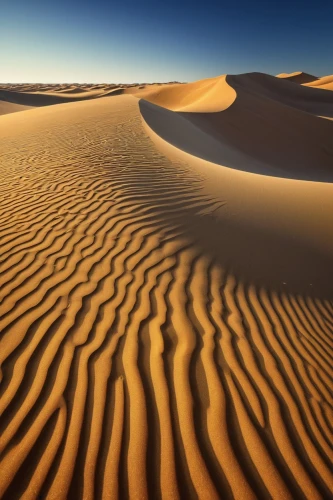 libyan desert,deserto,desert desert landscape,gobi desert,sahara desert,desert landscape,capture desert,crescent dunes,sand dunes,sahara,namib desert,sandplains,sandplain,desertification,semidesert,dune landscape,sand paths,the sand dunes,the gobi desert,sand pattern,Art,Artistic Painting,Artistic Painting 38