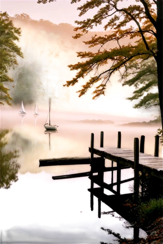 morning mist,foggy landscape,mists,tranquility,autumn fog,calmness,quietude,stillness,japan landscape,tranquillity,pond,mountainlake,lake tanuki,calm water,evening lake,mist,morning fog,beautiful lake,calm waters,water mist,Photography,Fashion Photography,Fashion Photography 20