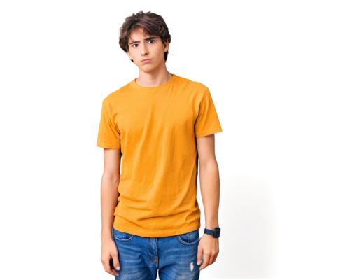 anirudh,shantanu,image editing,portrait background,raghav,dhruv,in photoshop,aditya,anshuman,transparent background,orangy,dendi,yellow orange,stephano,manav,nikhil,orangish,image manipulation,motzfeldt,siddharth,Art,Artistic Painting,Artistic Painting 27